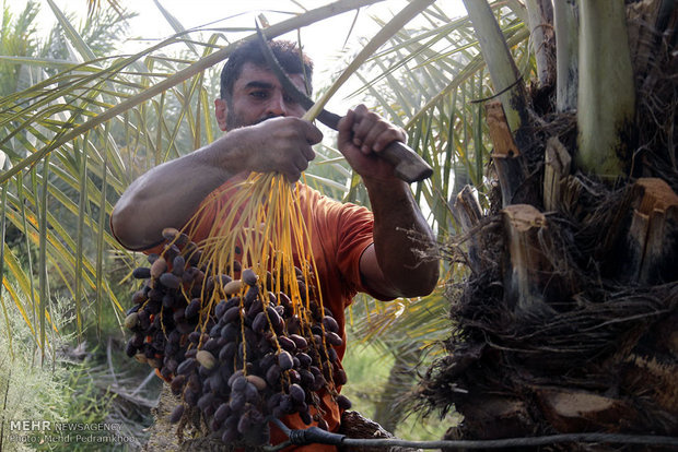 جشنواره مهرگان در هفتمین روز هفته گردشگری در محوطه تاریخی بیستون برگزار می‌شود