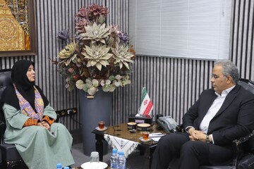 صنایع دستی سیستان و بلوچستان؛ از میراث فرهنگی تا ثروت ملی با برنامه یکساله توسعه ازایده تا صادرات