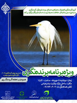 ویژه‌برنامه پرنده‌نگری در بندرعباس برگزار می‌شود