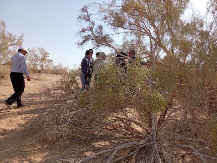 اسفنجرد نیازمند نگاه دقیق و کاوش‌های علمی است