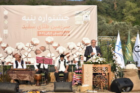 چهارمین جشنواره پنبه در گرگان برگزار شد/ وقتی میراث کشاورزی به برند گردشگری بدل می‌شود
