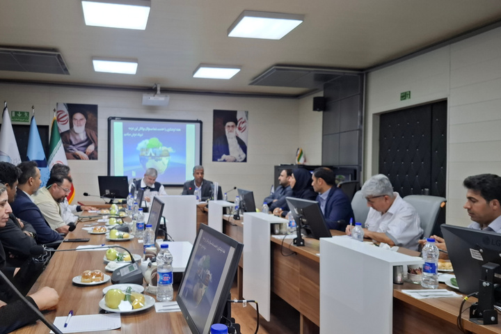 نشست بررسی توسعه گردشگری دریایی در هرمزگان/ ظرفیت‌های دریایی هرمزگان فراتر از کشورهای حوزه خلیج فارس است