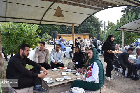 جشنواره پنبه