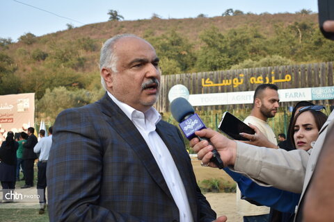 جشنواره پنبه