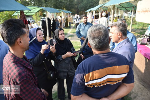 جشنواره پنبه