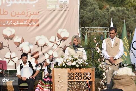 جشنواره پنبه