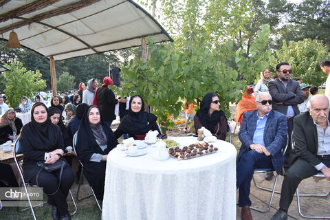 جشنواره پنبه