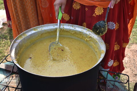 جشنواره پنبه