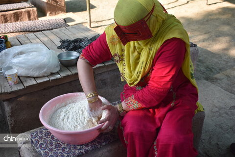 جشنواره پنبه