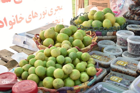 جشنواره پنبه