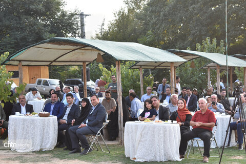 جشنواره پنبه