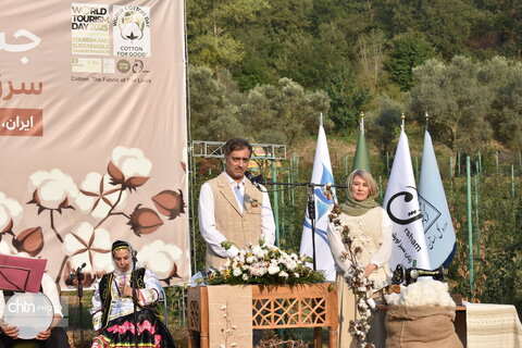 جشنواره پنبه