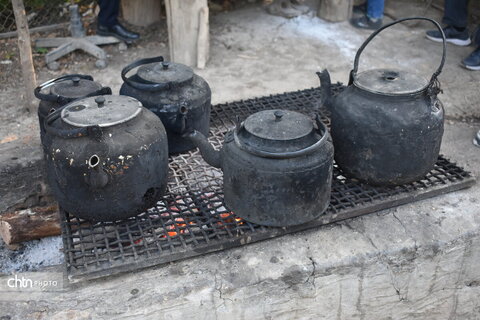جشنواره پنبه
