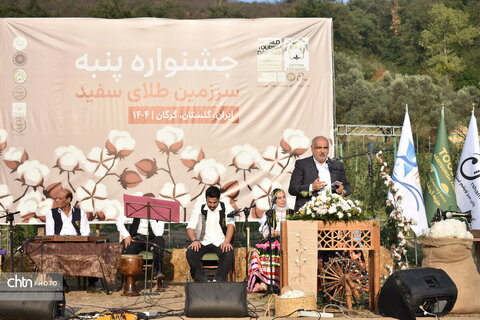 جشنواره پنبه