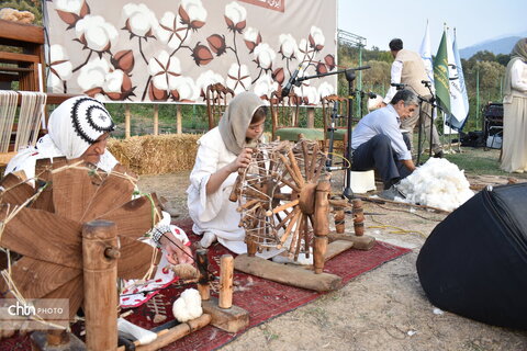 جشنواره پنبه 2