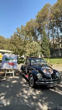 سفیران گردشگری ایران پیام‌آور شور و نشاط اجتماعی شدند