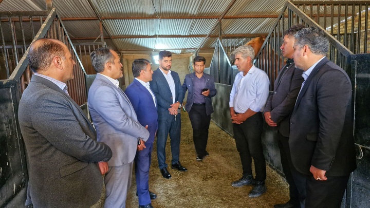 بازدید فرماندار اهر و معاون گردشگری آذربایجان شرقی از مجتمع سوارکاری اهر