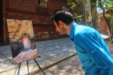 نشست تخصصی گردشگری حیاتوحش با محوریت پرندهنگری خوزستان