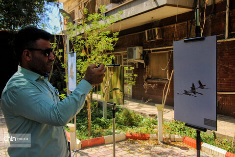 نشست تخصصی گردشگری حیاتوحش با محوریت پرندهنگری خوزستان