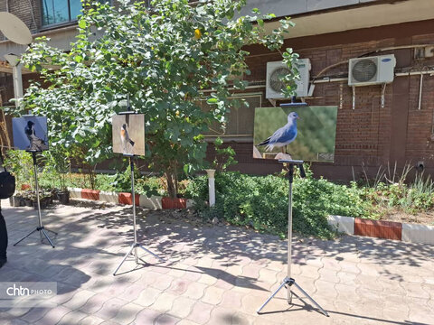 نشست تخصصی گردشگری حیات‌وحش با محوریت پرنده‌نگری خوزستان