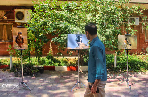 نشست تخصصی گردشگری حیاتوحش با محوریت پرندهنگری خوزستان