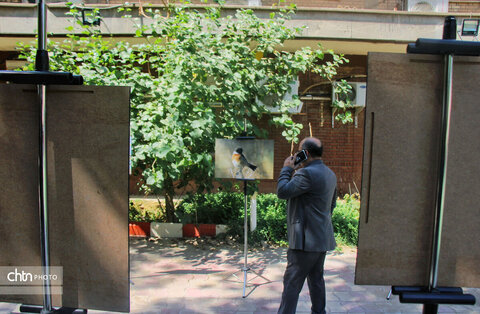 نشست تخصصی گردشگری حیاتوحش با محوریت پرندهنگری خوزستان