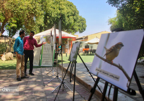 نشست تخصصی گردشگری حیاتوحش با محوریت پرندهنگری خوزستان