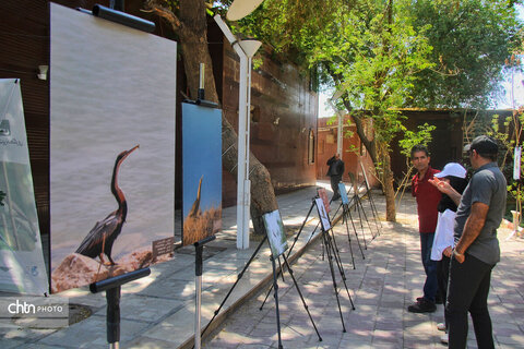 نشست تخصصی گردشگری حیات‌وحش با محوریت پرنده‌نگری خوزستان