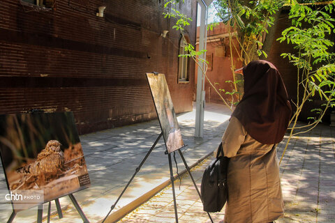 نشست تخصصی گردشگری حیاتوحش با محوریت پرندهنگری خوزستان