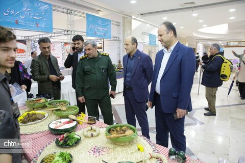 ترافیک
