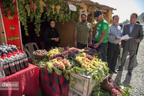 بیستون مهرگان