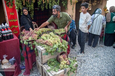بیستون مهرگان