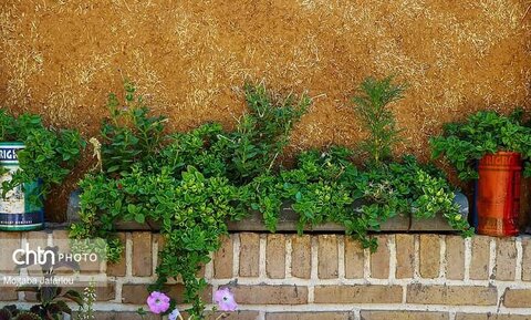 تور گردشگری مادر و کودک در زنجان