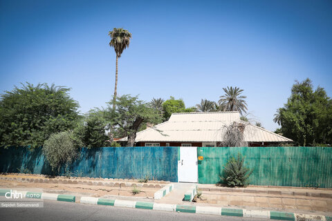 روایت نفت در منطقه نیوسایت