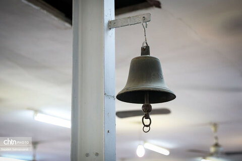 روایت نفت در منطقه نیوسایت