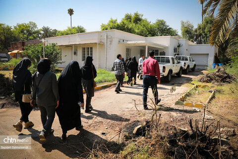 روایت نفت در منطقه نیوسایت