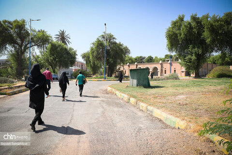 روایت نفت در منطقه نیوسایت