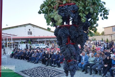 جشنواره انگور سیاه میرآباد