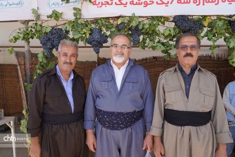 جشنواره انگور سیاه میرآباد