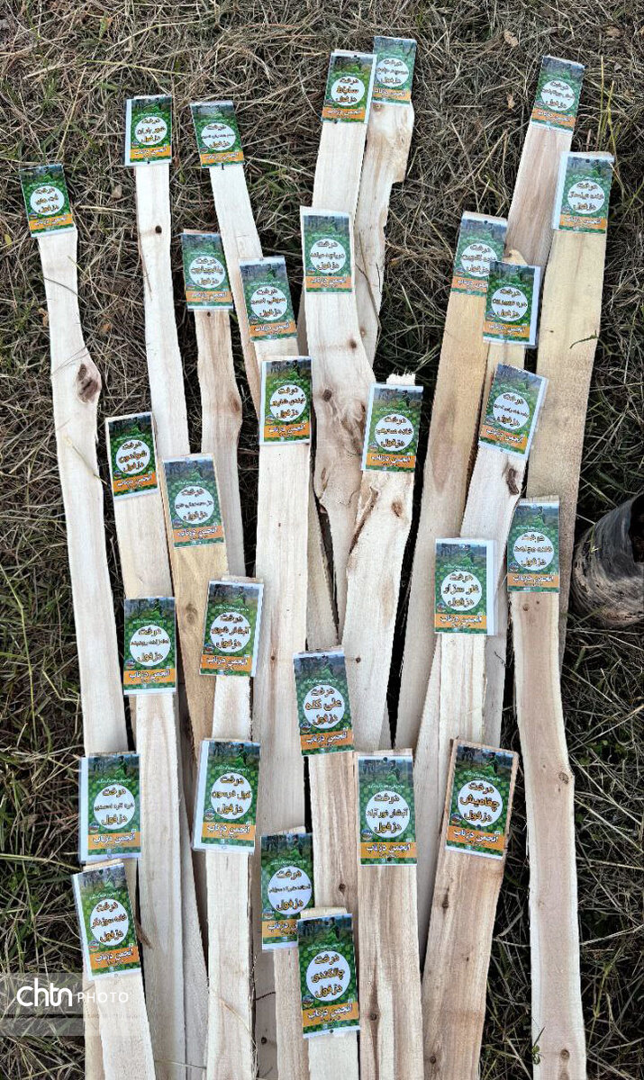 کاشت درخت ماندگارترین یادگار هفته گردشگری دزفول بود