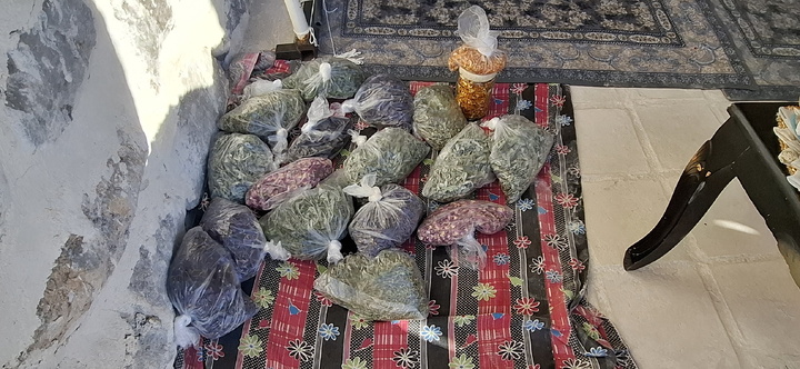 گازرخان