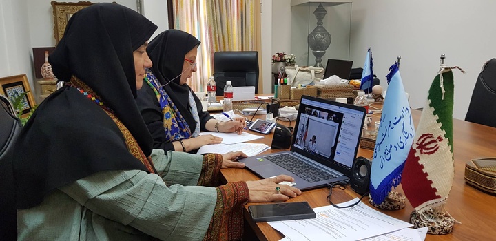 معاون صنایع‌دستی ایران در مجمع فوق‌العاده شورای جهانی صنایع‌دستی حضور یافت