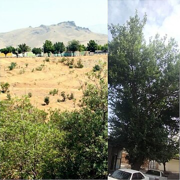 ثبت ۲ اثر طبیعی کردستان در فهرست میراث‌ طبیعی ملی کشور