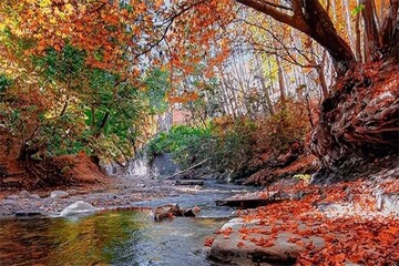 روز ملی روستا در برغان؛ روایت زندگی، هنر و همبستگی اهالی