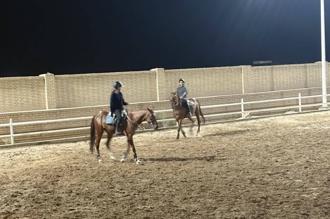 بررسی ظرفیت‌ها و فرصت‌های توسعه گردشگری یزد در زمینه صنعت اسب