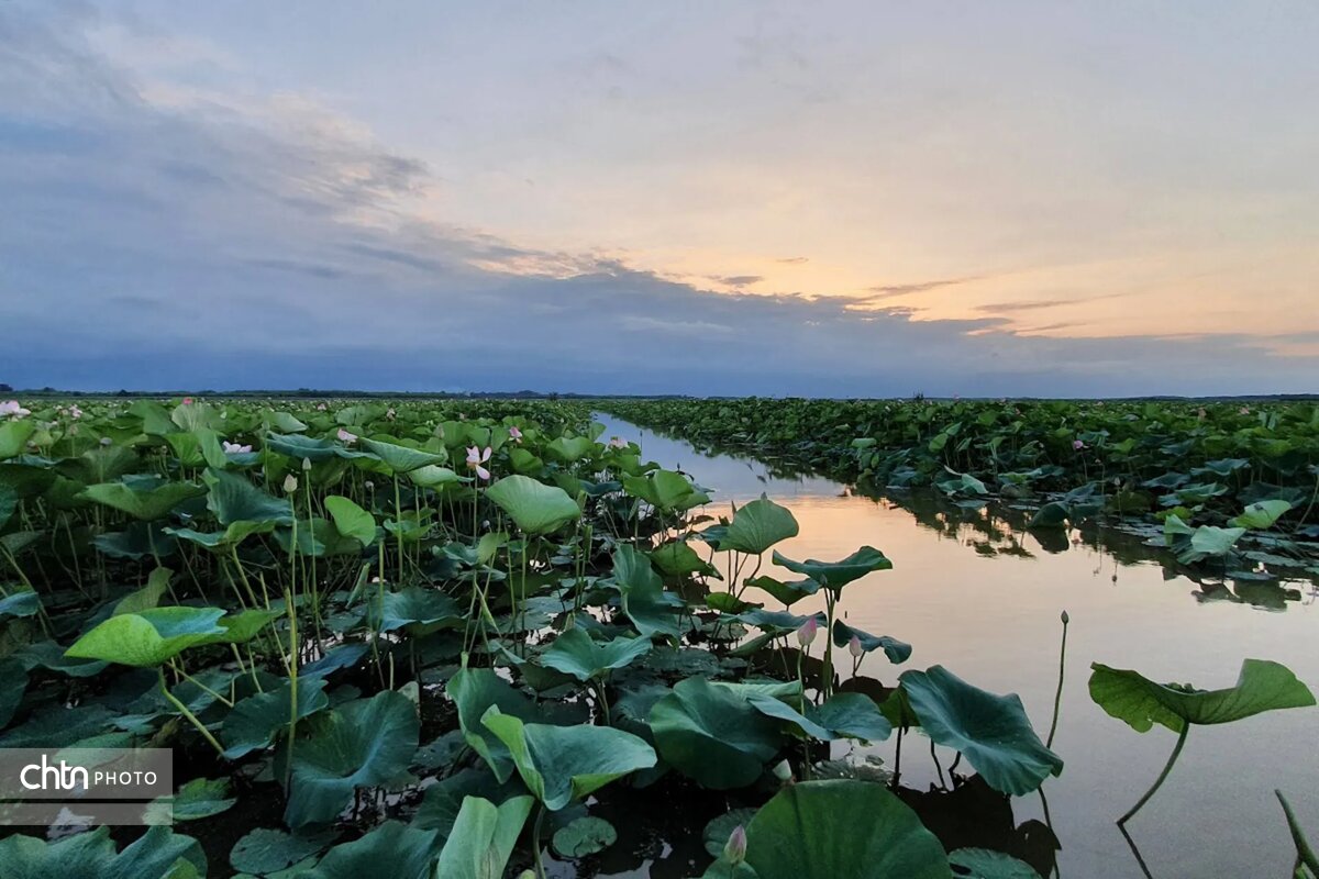 انزلی، مروارید گیلان و شکوه تالاب