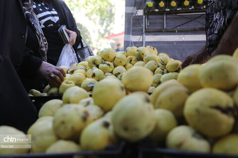 ششمین جشنواره بزرگ هیوا (به) کوثر