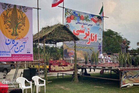 برگزاری جشنواره انار ترشی در شهرستان ساری