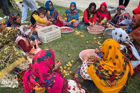 برگزاری جشنواره انار ترشی در شهرستان ساری