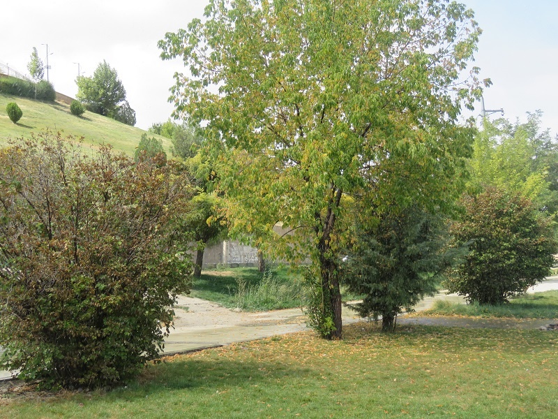 طبیعت پاییزی یاسوج زیبا